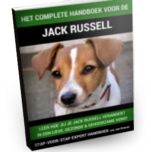 Het complete handboek voor de Jack Russell