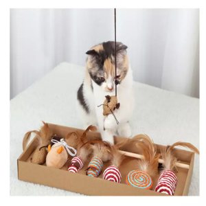 Kattenspeeltjes set