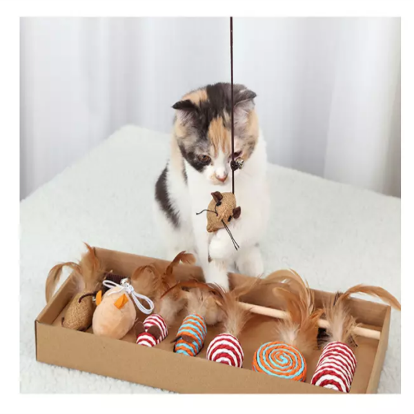Kattenspeeltjes set